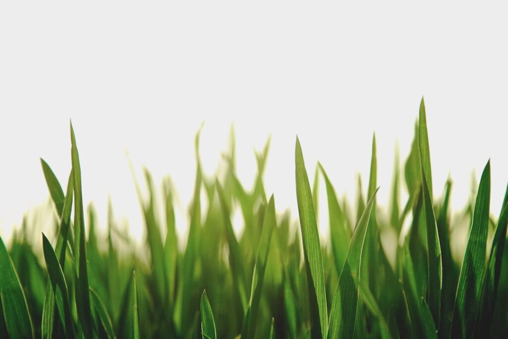 Photo by Chang Qing on Unsplash