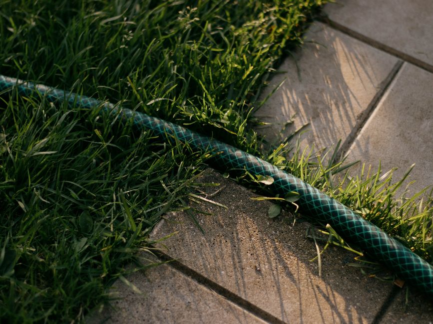 A person pulling crabgrass from a suburban lawn with gloved hands on a sunny day.