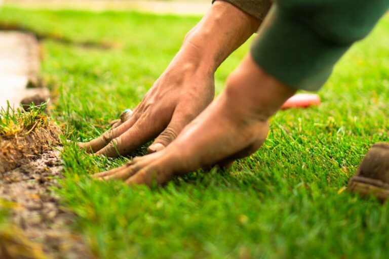 A person using a manual reel mower on a green lawn with mixed native plants along the edge.