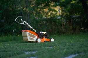 A person spreads grass seed evenly with a hand broadcaster over a patchy green lawn.