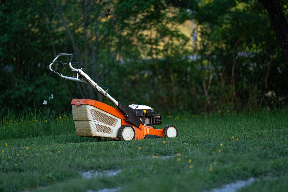 A person spreads grass seed evenly with a hand broadcaster over a patchy green lawn.