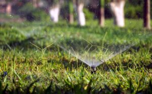 A person in shorts waters a lush green backyard lawn with a standard garden sprinkler on a sunny day.