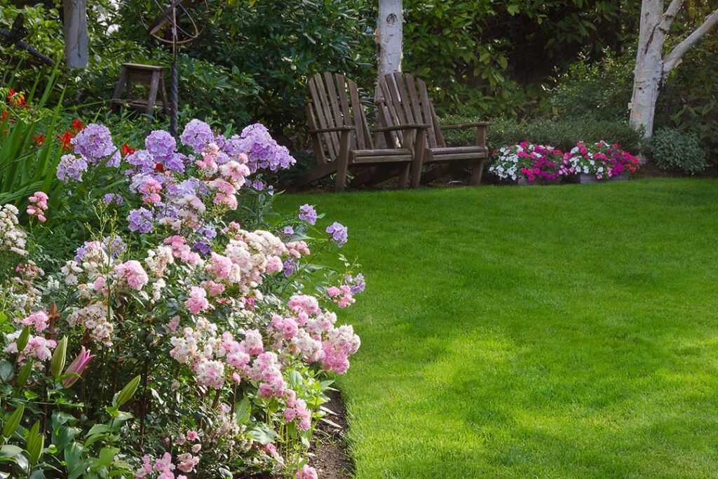 A person inspecting grass closely for lawn pests with a garden trowel and small bucket nearby.
